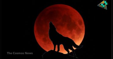 Super Blood Wolf Moon